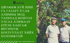 Монголынхоо цөлжиж буй 5000 га газарт 3 сая алимны мод тарихад МОНГОЛ УЛСАА АЛИМаар бүрэн хангаж 80ТЭРБУМ борлуулалт хийх боломжтой